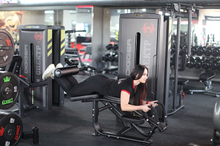 Сгибание ног лежа Hasttings Digger HD015-1