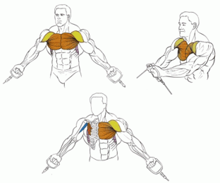 Кроссовер регулируемый Kraft Fitness KFCPCY линии Twin